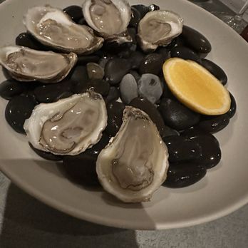 Baso - Oysters - Spanish Near Me - Houston, Texas Baso - Oysters - Spanish Near Me - Houston, Texas
