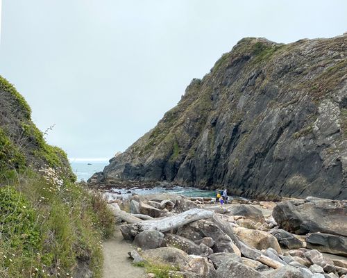 Harris Beach by null