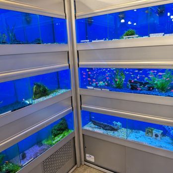 Pet Goods - Fiiiish - Pet Stores Near Me - Ramsey, New Jersey Pet Goods - Fiiiish - Pet Stores Near Me - Ramsey, New Jersey