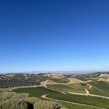 DAOU Vineyards - Wineries Near Me - Paso Robles, California DAOU Vineyards - Wineries Near Me - Paso Robles, California