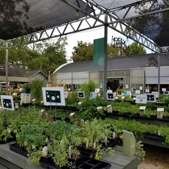 Buchanan's Native Plants - Buchanan's Native Plants - Nurseries & Gardening Near Me - Houston, Texas