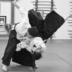 Traditional Aikido of Sarasota - Dynamic, energetic practice
