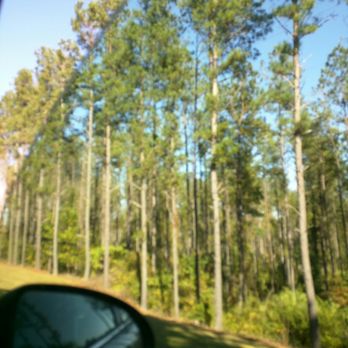 McIntosh Reserve - Parks Near Me - Whitesburg, Georgia