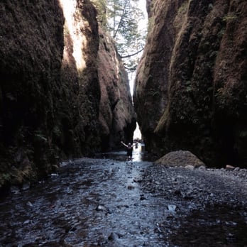 Oneonta Trail - Hiking Near Me - Cascade Locks, Oregon