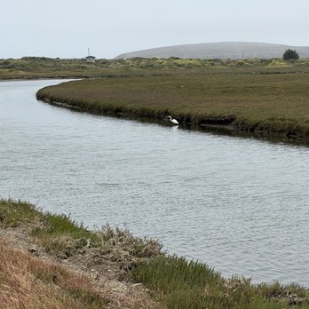 Bird Walk Coastal Access Trail - Parks Near Me - Bodega Bay, California Bird Walk Coastal Access Trail - Parks Near Me - Bodega Bay, California
