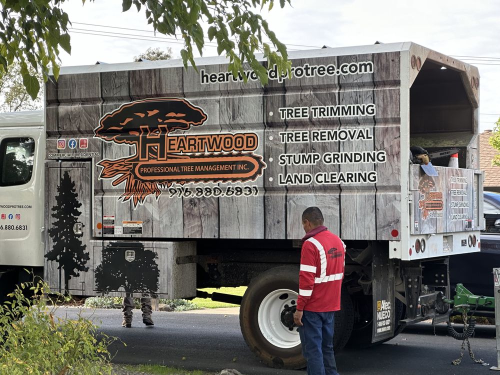 Heartwood Professional Tree Management - tree service in Rocklin ca, CA