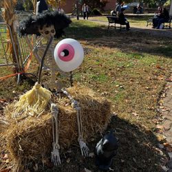 Fredericksburg Farmers Market