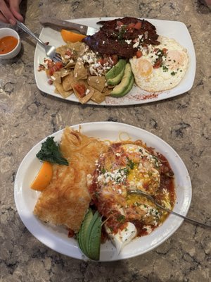 Egg River Café by null