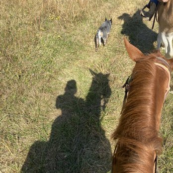 Horseshoe Creek Riding Stable - Horseback Riding Near Me