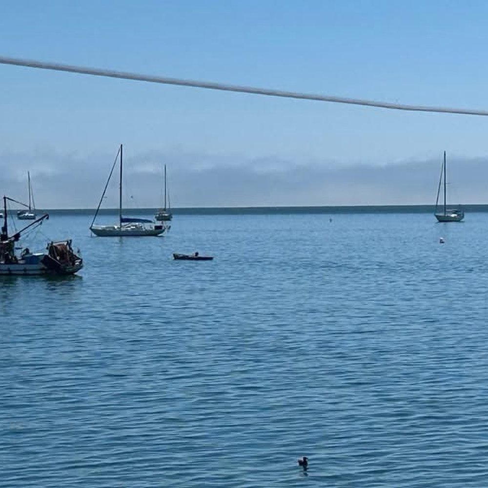 Mersea's - Bars Near Me - Avila Beach, California