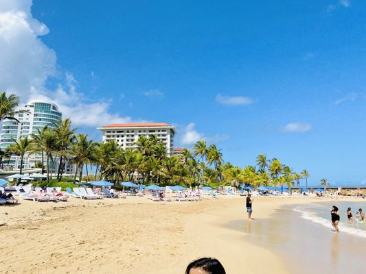 Condado Beach by null