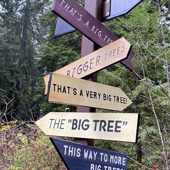 Big Tree - Landmarks & Historical Buildings Near Me - Orick, California