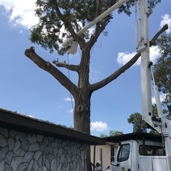 Danny's Tree Service - Tree removal - Tree Services Near Me - Safety Harbor, Florida Danny's Tree Service - Tree removal - Tree Services Near Me - Safety Harbor, Florida