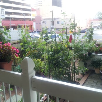 Chelsea Inn - from the garden balcony at breakfast - Pubs Near Me - Atlantic City, New Jersey