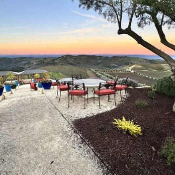 DAOU Vineyards - Wineries Near Me - Paso Robles, California DAOU Vineyards - Wineries Near Me - Paso Robles, California