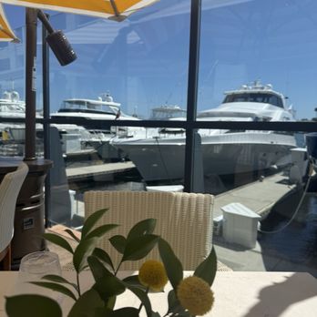 A+O Restaurant | Bar - Marina - New American Near Me - Newport Beach, California A+O Restaurant | Bar - Marina - New American Near Me - Newport Beach, California