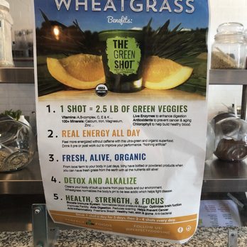 Green Point Juicery - Kosher Near Me - Morristown, New Jersey Green Point Juicery - Kosher Near Me - Morristown, New Jersey