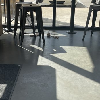 MOD Pizza - Trash all over the ground. - Fast Food Near Me - Houston, Texas MOD Pizza - Trash all over the ground. - Fast Food Near Me - Houston, Texas