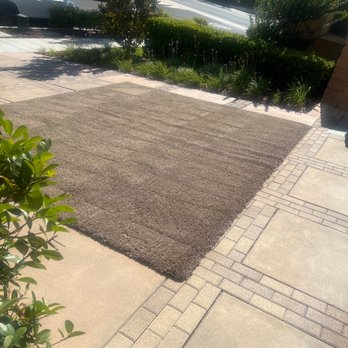 Pro Budget Carpet Cleaning - My rug that they cleaned - drying in the driveway - Carpet Cleaning Near Me - Ontario, California