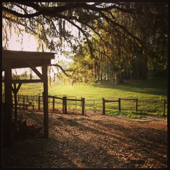 Lake Meadow Naturals - Farmers Market Near Me - Ocoee, Florida