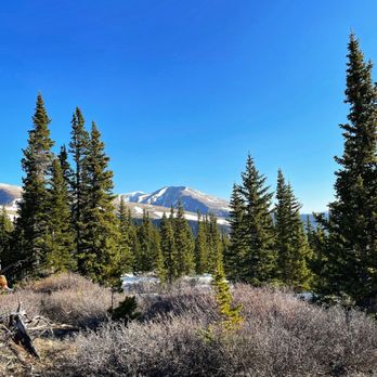 Pika Trail - Pika Trail (5/29/23) - Hiking Near Me - Fairplay, Colorado