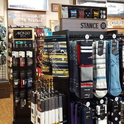 Board Stiff - Falmouth - Cool Brands for a Cool Look