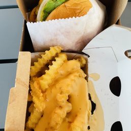 Cheese Fries Cheese Fries