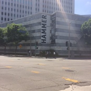 Hammer Museum - View From Hilgard Street - Museums Near Me - Los Angeles, California Hammer Museum - View From Hilgard Street - Museums Near Me - Los Angeles, California