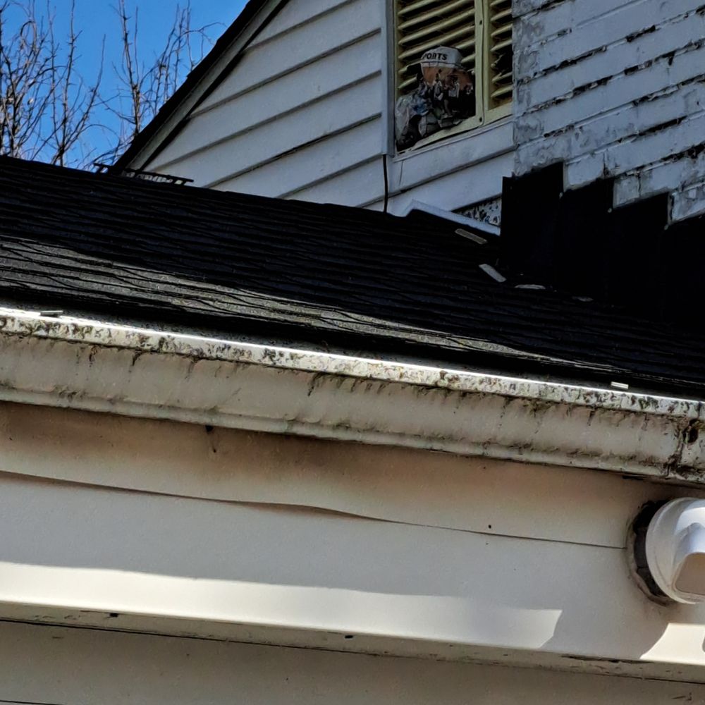 ASAP Critter People - How I found out an animal had literally "broken in". - Pest Control Near Me - Cleves, Ohio ASAP Critter People - How I found out an animal had literally "broken in". - Pest Control Near Me - Cleves, Ohio