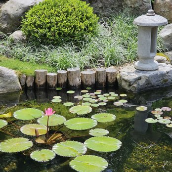 Pittsburgh Symphony Orchestra - Lily pond - Performing Arts Near Me - Pittsburgh, Pennsylvania