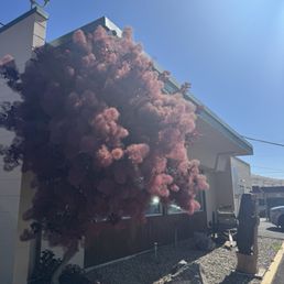 Outside Outside