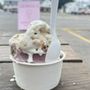 Photo of Lacroix’s Homemade Ice Cream