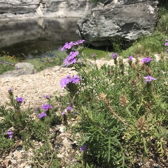 Colorado Bend State Park - Parks Near Me - Bend, Texas