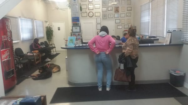 Holiday Auto Center by null