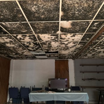 Scene Cleaners - Now THIS is a mold problem! - Damage Restoration Near Me - Addison, Illinois Scene Cleaners - Now THIS is a mold problem! - Damage Restoration Near Me - Addison, Illinois
