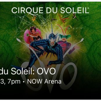 NOW Arena - Great, entertaining show! - Stadiums & Arenas Near Me - Hoffman Estates, Illinois