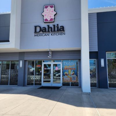 Dahlia Daytona Beach by null