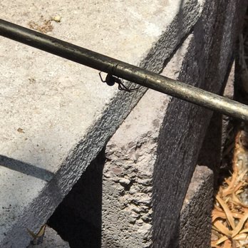 Stapley Pest Control - Pest Control Near Me Stapley Pest Control - Pest Control Near Me