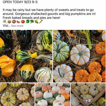 DeLea Farmstand - pumpkins and gourds - Farmers Market Near Me - East Northport, New York DeLea Farmstand - pumpkins and gourds - Farmers Market Near Me - East Northport, New York