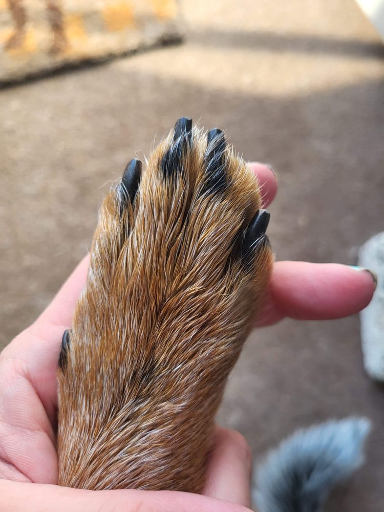 THE TRANSFURMATION STATION TEMP. CLOSED Updated May 2024 30 Photos Irvine, California