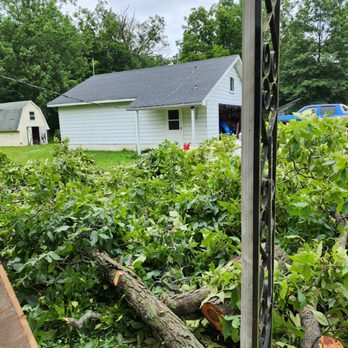 Schwankes Tree Services - Tree Services Near Me Schwankes Tree Services - Tree Services Near Me
