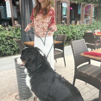 Barbarella Restaurant & Bar - Dog friendly patio. - Breakfast & Brunch Near Me - Playa La Jolla, California Barbarella Restaurant & Bar - Dog friendly patio. - Breakfast & Brunch Near Me - Playa La Jolla, California