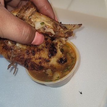 The Tipsy Burro Cantina & Grill - Mexican Near Me - Willows, California