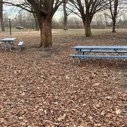 Watkins Park