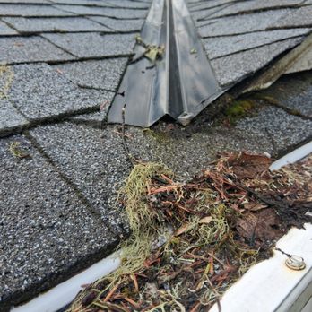 Leaf Filter - If I'd known then what I know now, I NEVER would've wasted my money on Leaf Filter!!! I miss my gutter brushes! - Gutter Services Near Me