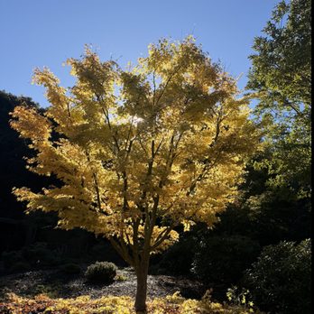 Healthy Roots Tree Care - Tree Services Near Me Healthy Roots Tree Care - Tree Services Near Me
