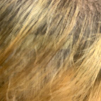 Mallory Lane Salon & Gallery - Hair Salons Near Me - Columbus, Ohio Mallory Lane Salon & Gallery - Hair Salons Near Me - Columbus, Ohio
