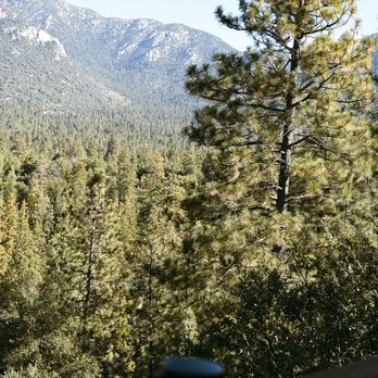 Divine Mountain Retreat - Trees that scent the air with pine and cedar. - Life Coach Near Me