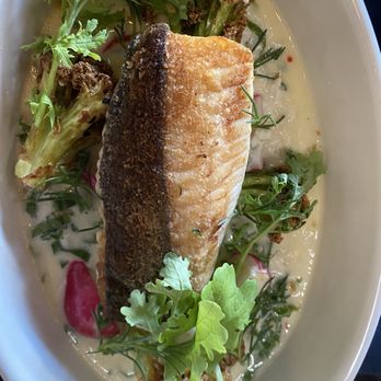 Pasjoli - Morue noire- pan-roasted black cod - French Near Me - Santa Monica, California Pasjoli - Morue noire- pan-roasted black cod - French Near Me - Santa Monica, California