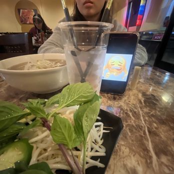 Pho Rolls - Everything pho regular Pho Tai Bo Vien - Vietnamese Near Me - Renton, Washington Pho Rolls - Everything pho regular Pho Tai Bo Vien - Vietnamese Near Me - Renton, Washington